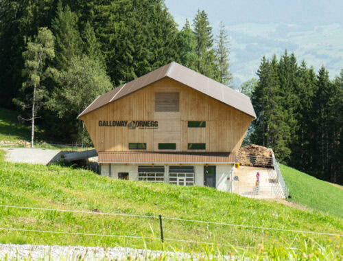 EWO03387-500x380